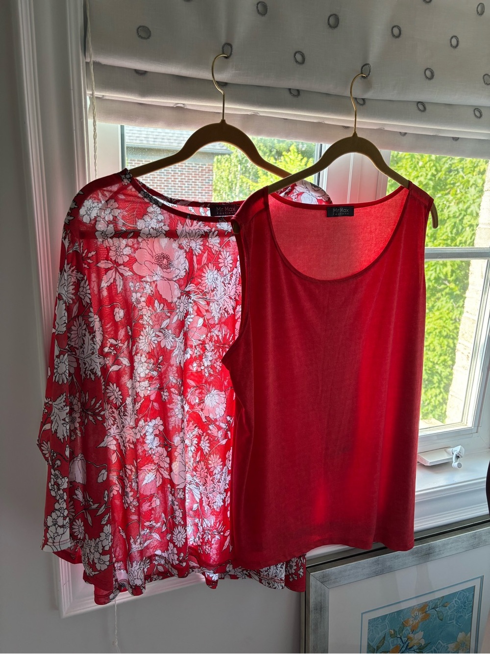 Mr. Max Red  XL Floral Sheer Top & Red Tank Duo from TSC